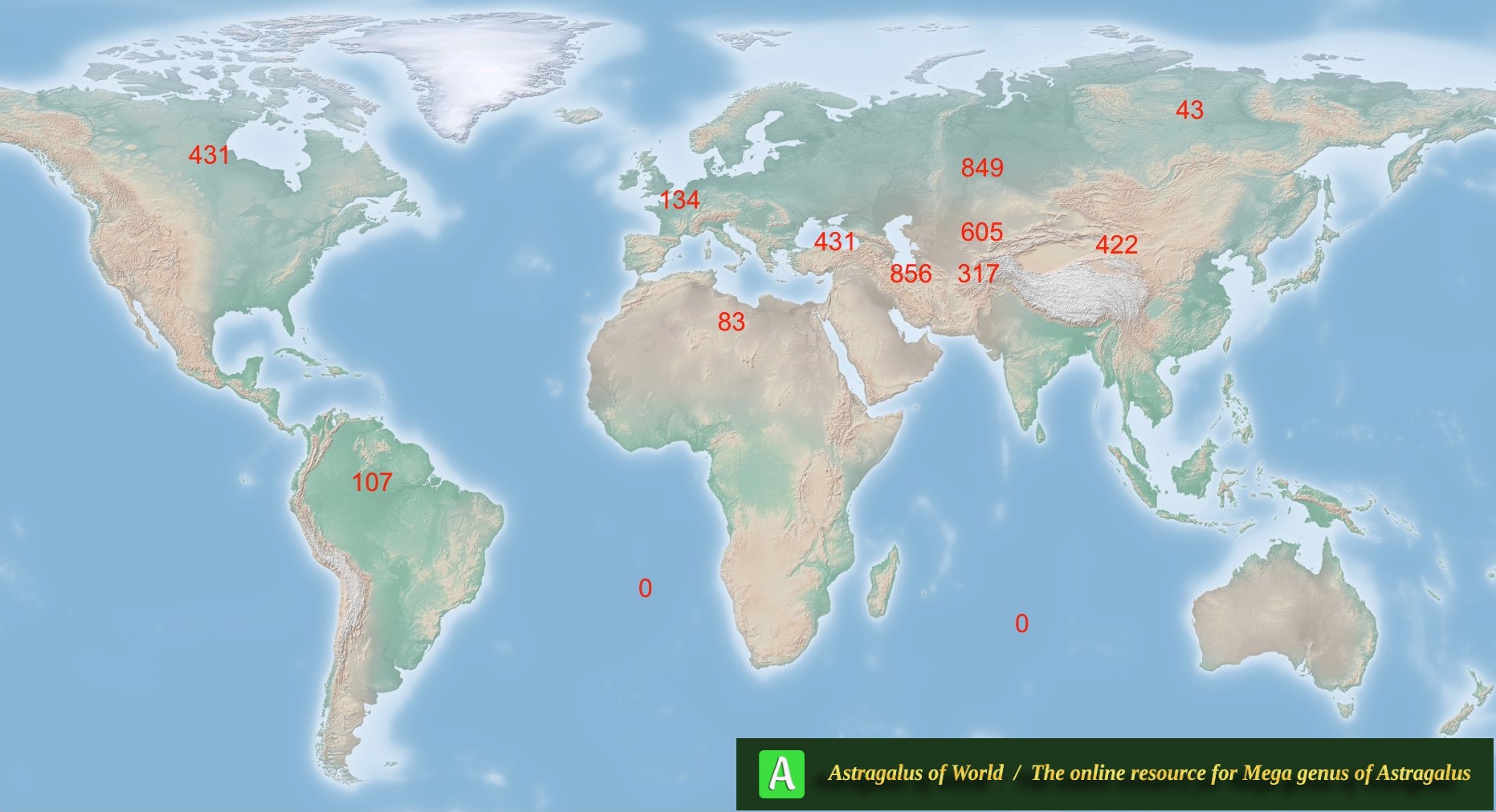Total number of species in Old and New World
